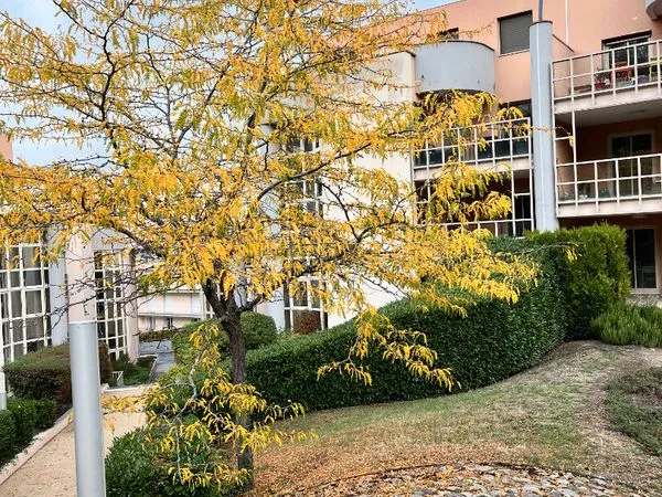 Appartement 4 pièces 125 m²