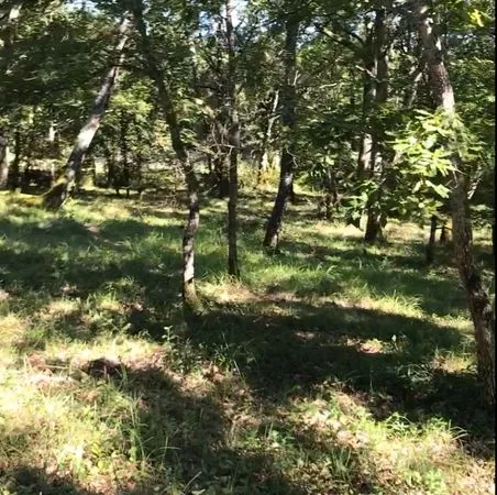 Terrain 2500 M2