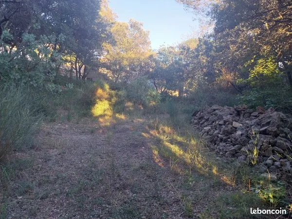 Beau terrain constructible de 743 m2