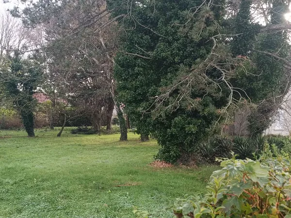 Terrain à bâtir Vente Le Crotoy 210000€