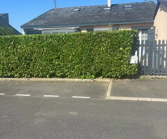 Maison 6 pièces 504 m²