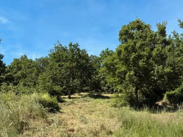 Terrain agricole
