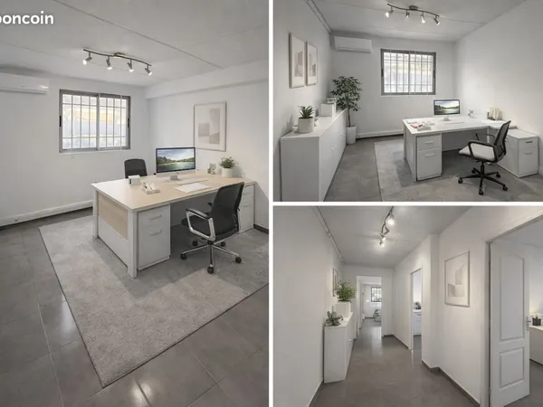 Bureaux / locaux professionnels