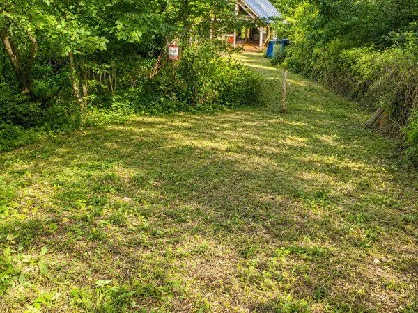 Terrain forestier de 4 600 m² avec chalet cadastré - 30 000