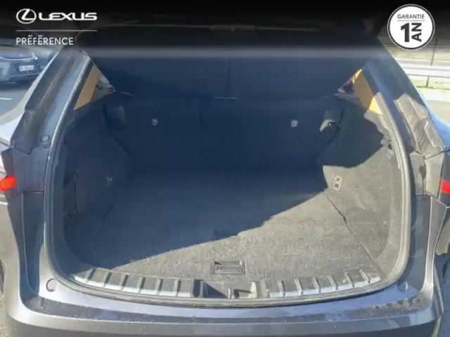 Lexus Nx 450h+ executive 4wd — photo 10