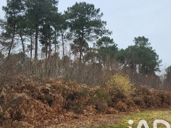 Terrain 44000 m²