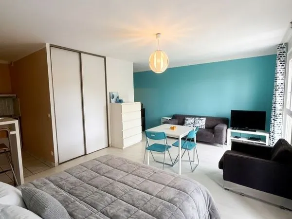 Cozy and Bright Studio in Ferney-Voltaire
