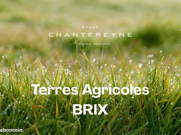 Terrain 3130 m² Brix