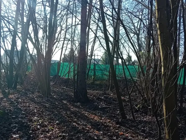 Terrain 10555 m²
