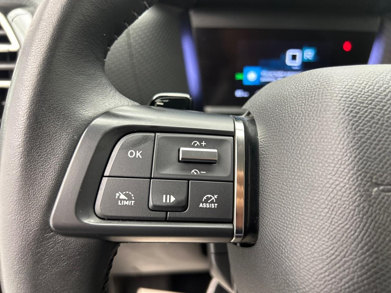 Citroën C4 puretech 130 s&s eat8 c-series — photo 23