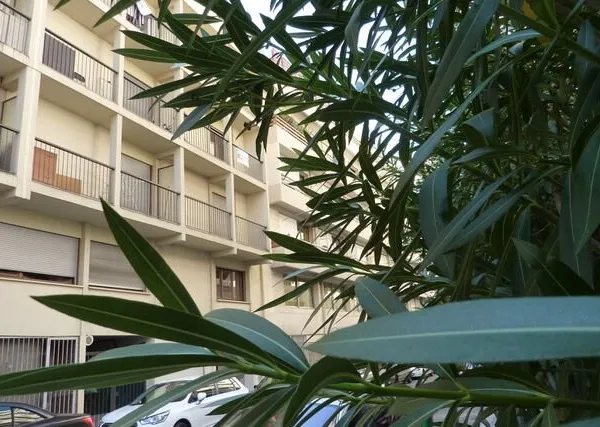 Appartement Toulon 1 pièce(s) 23 m2