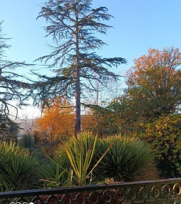 Photo 15
