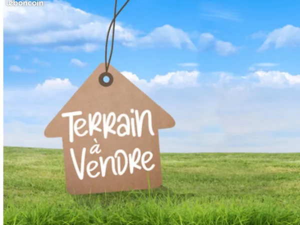 Terrain Tampon