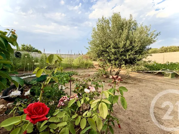Terrain 1314 m²