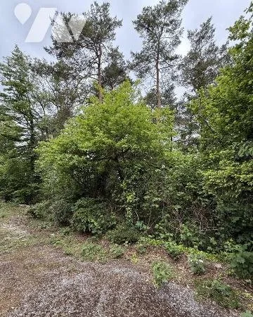 Terrain 749 m²