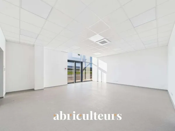 Local 300 m²