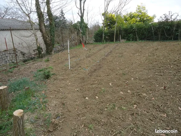 Terrain plat ombragé