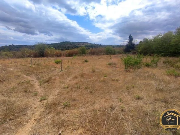 Terrain 5260 m²