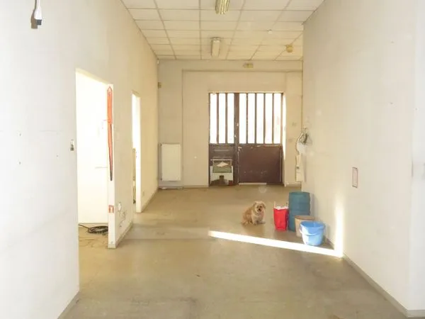 Local Professionnel, bureaux, Schiltigheim