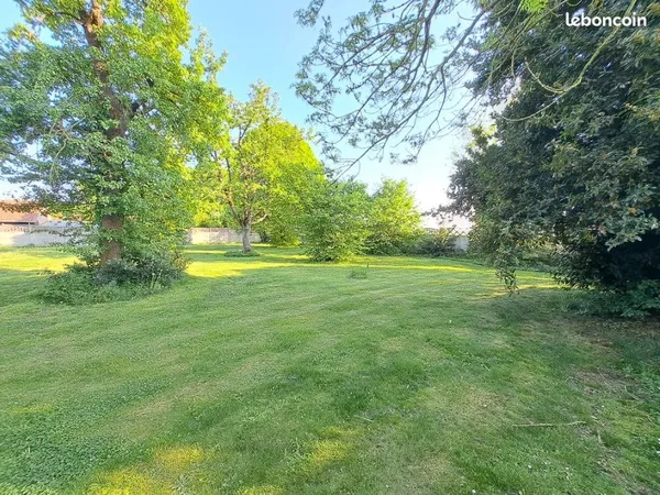 Terrain 1000 m²