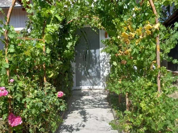 Appartement Location Sarrebourg 1p 25m² 500€