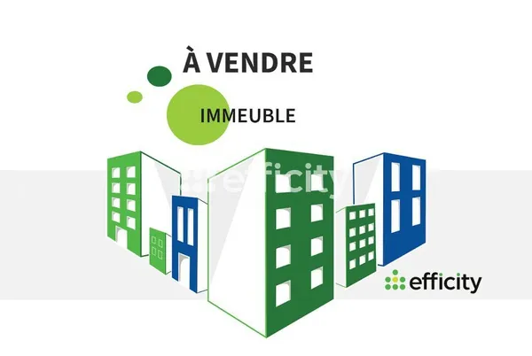Immeuble 1339 m²