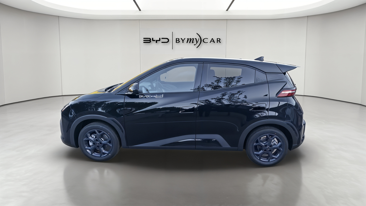 BYD Dolphin Surf 43.2 kWh 156 ch — photo 2