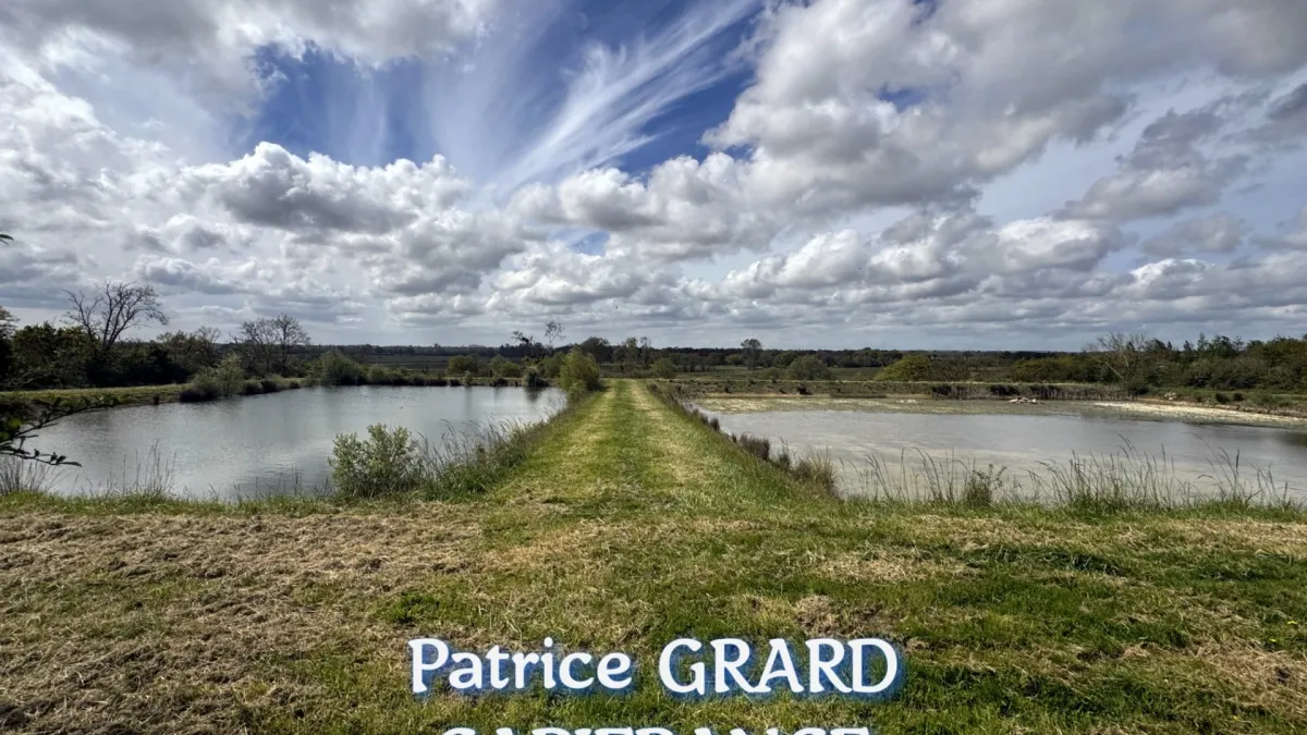 Photo 49