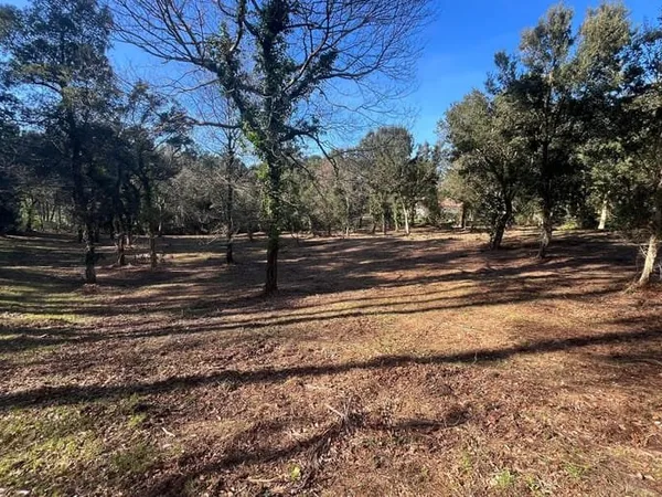 Terrain 973 m²