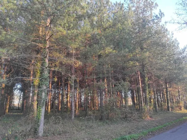 Sapinière de 5020m²