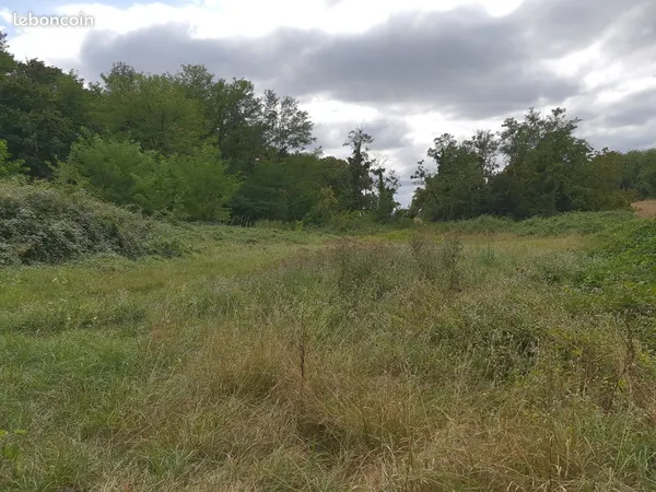 Terrain agricole pour plantation peupliers 6 ha bonne humidité toute l'année