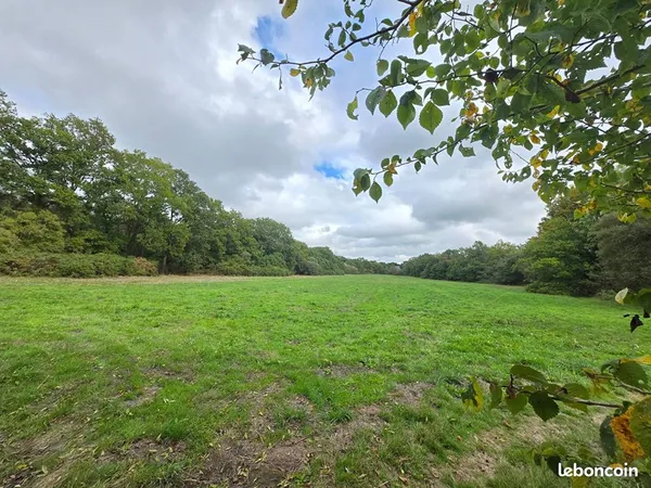 Terrain 59650 m² LOCOAL MENDON