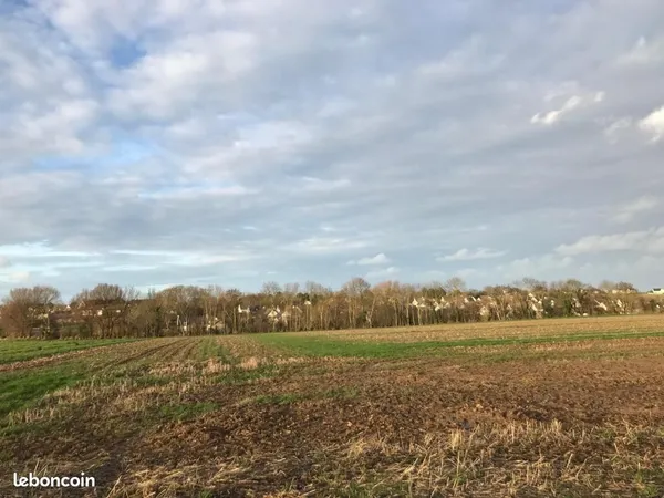 Terrain 463 m² Mouen