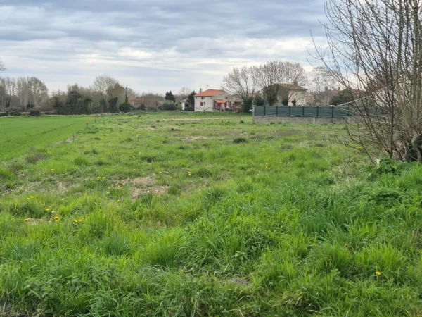 Terrain 1392 m²