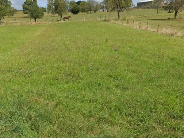 Terrain constructible