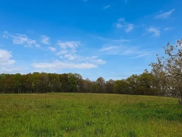Terrain 25463 m²