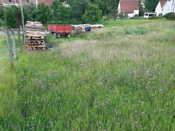 Terrain constructible 11,35 ares à Roderen (68) - Rue du Gigel
