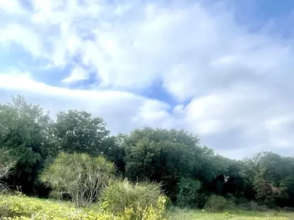 Terrain 970 m²