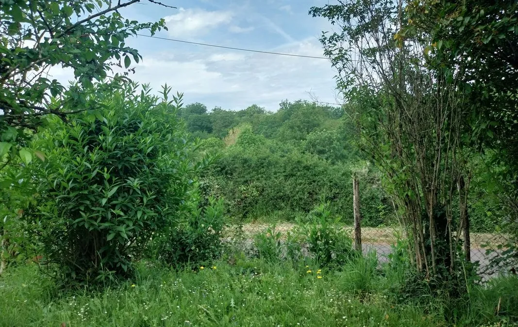 Photo 17