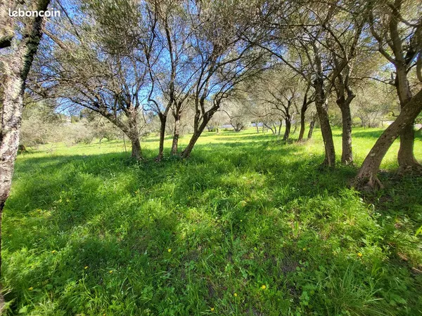 Beau terrain de 1100 m2