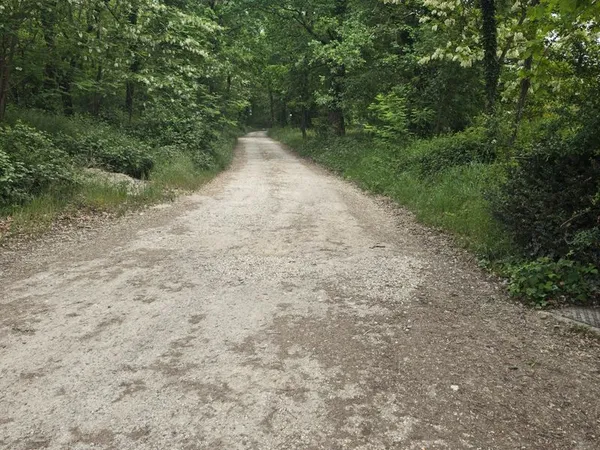 Terrains viabilisés a montbeton endroit très calme et pas en bord de route