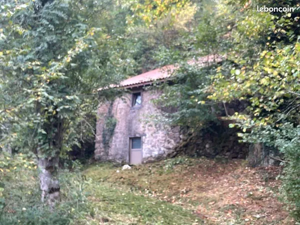Maison insolite ancienne cave