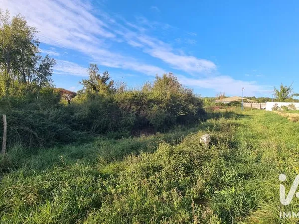 Terrain 993 m²