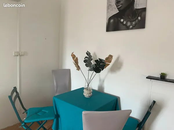 Grand T2 meublé