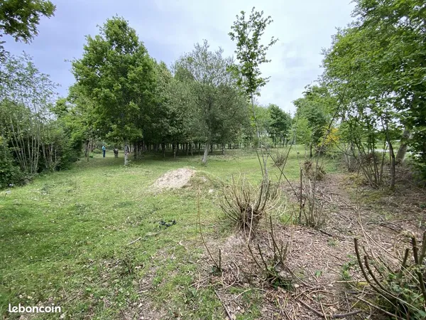 Terrain 45000 m² Iffendic