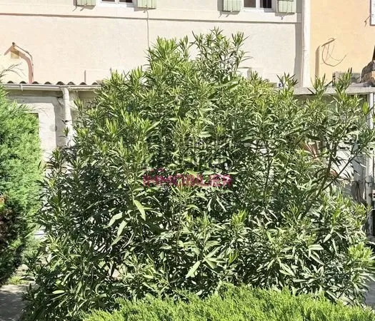 Maison de ville 5 pièces 87 m²