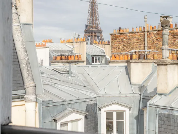 Vends appartement avec vue Tour Eiffel
