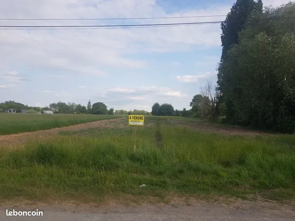 Terrain 3600 M² Busnes
