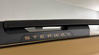 Dacia Sandero 1.0 ECO-G 100ch Stepway Extreme + -24 — photo 22