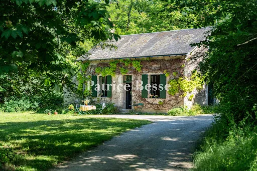 Propriété 15 pièces 600 m²